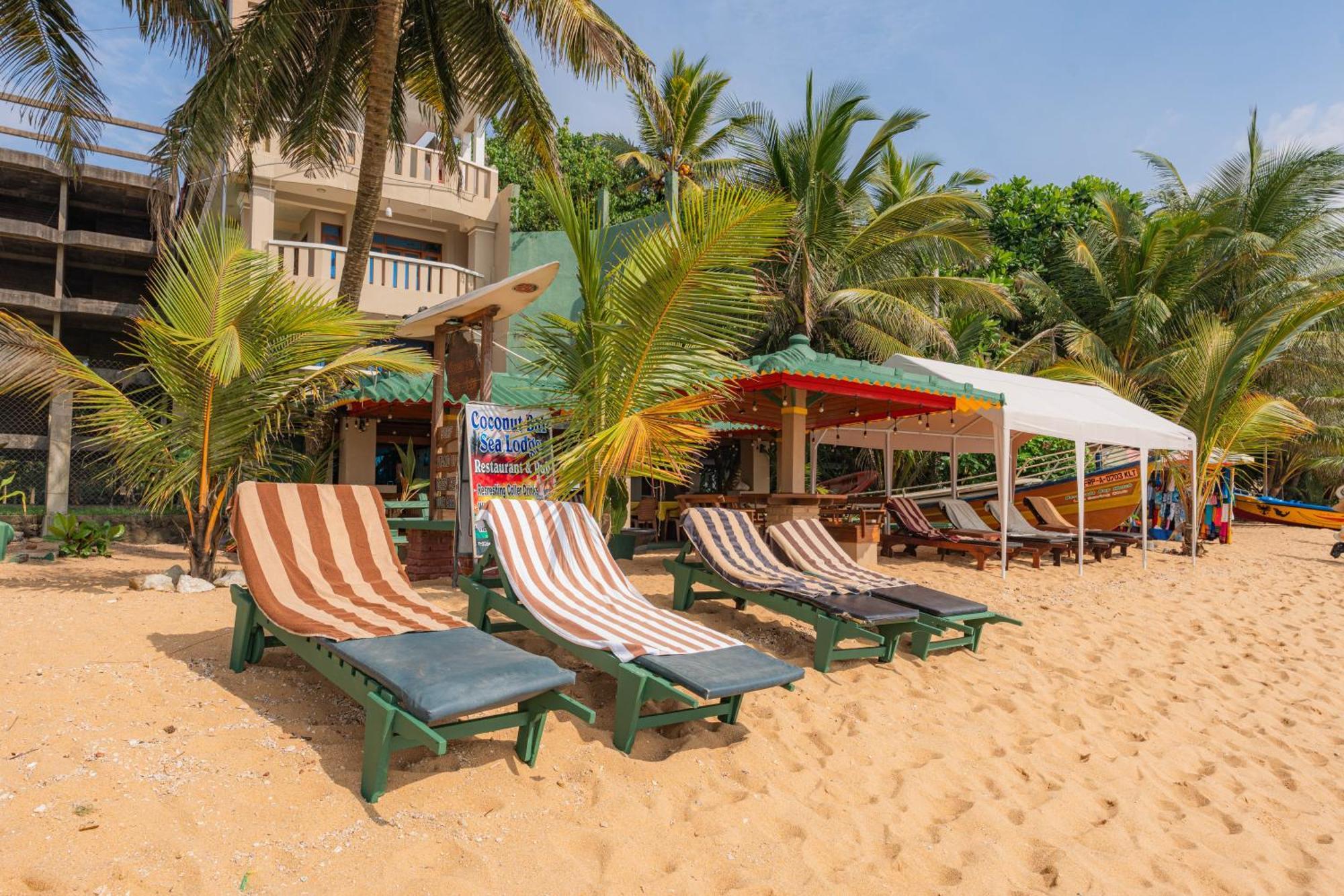 Hotel Coconut Bar Sea Lodge Beruwala Esterno foto